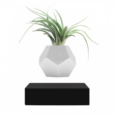 Левитирующий вазон FLYTE Planter, черная основа, фото 2