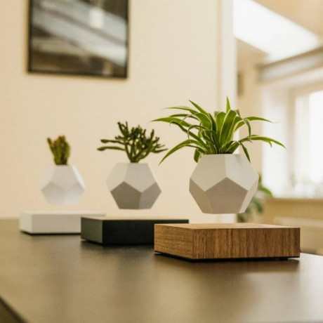 Левитирующий вазон FLYTE Planter, основа орех, фото 5