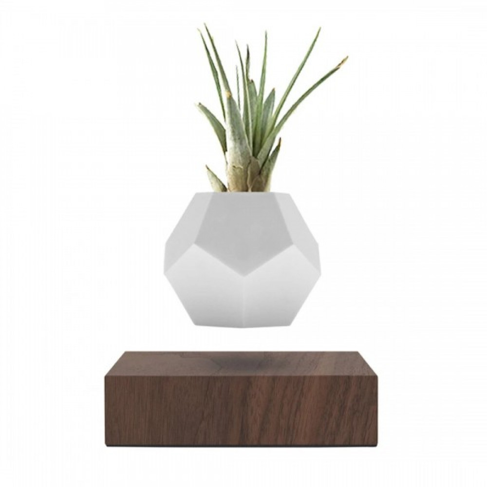 Левитирующий вазон FLYTE Planter, основа орех, фото 1