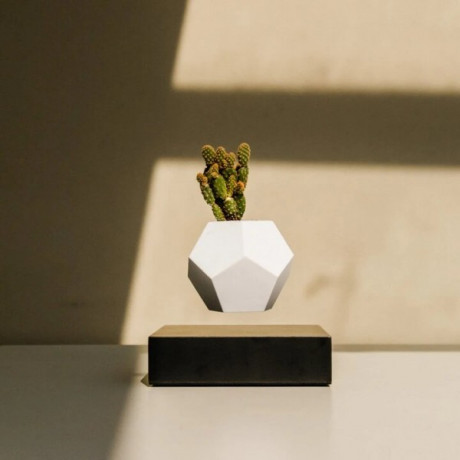 Левитирующий вазон FLYTE Planter, основа орех, фото 4