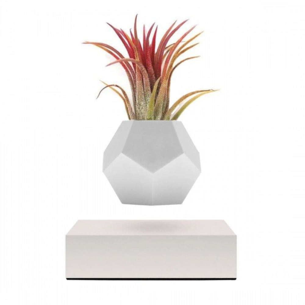Левитирующий вазон FLYTE Planter, белая основа, фото 1