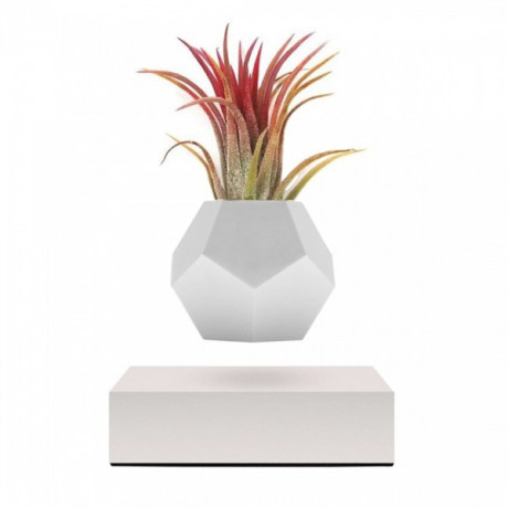 Левитирующий вазон FLYTE Planter, белая основа, фото 2
