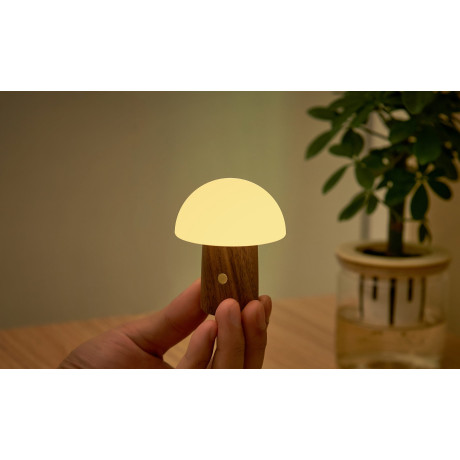 Светильник на аккумуляторе Gingko Alice Mushroom Lamp Super Mini, орех, фото 3