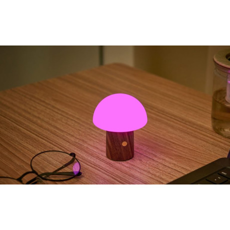 Светильник на аккумуляторе Gingko Alice Mushroom Lamp Super Mini, орех, фото 4